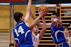 Basketball Superliga 2024/25, SLMU16 Traiskirchen Lionesses vs. FCN Baskets Wels


