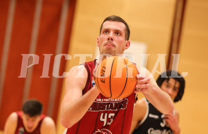 Basketball Zweite Liga 2023/24, Grunddurchgang 19.Runde Mistelbach Mustangs vs. Basket Flames


