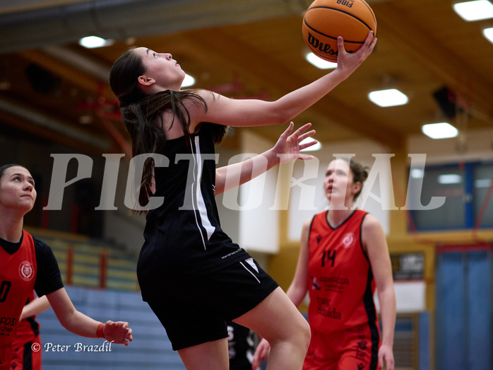 Basketball Superliga 2024/25, SLWU16 Traiskirchen Lionesses vs. BBC Nord Dragons


