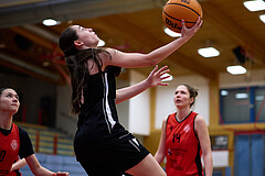 Basketball Superliga 2024/25, SLWU16 Traiskirchen Lionesses vs. BBC Nord Dragons



