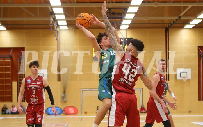 Basketball Zweite Liga 2023/24, Grunddurchgang 16.Runde Mistelbach Mustangs vs. Dornbirn Lions


