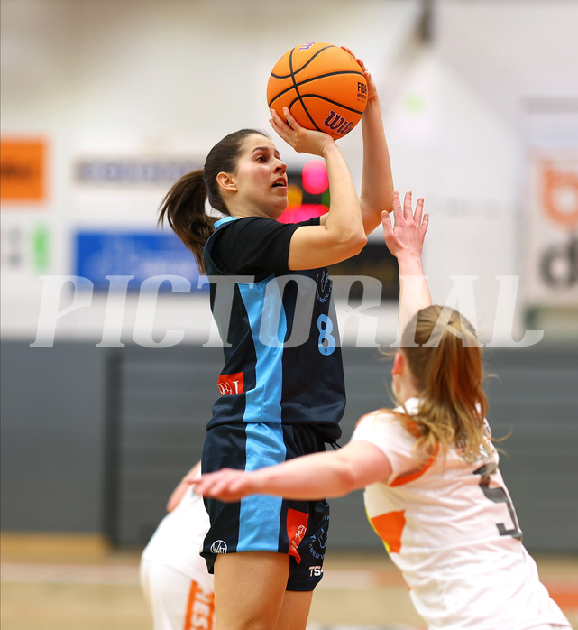 Basketball Damen Supercup 2024/25, 4.Runde BK Duchess Klosterneuburg vs. Vienna Timberwolves


