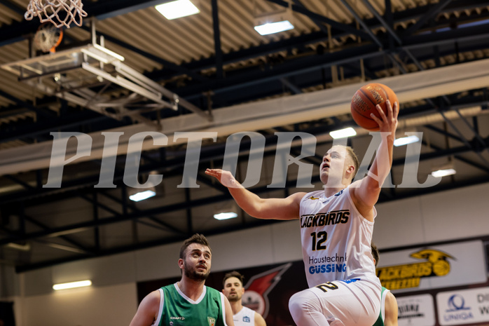 Basketball, Basketball Zweite Liga 2022/23, Playoff Viertelfinale Spiel 3, Blackbirds G
