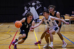 Basketball Zweite Liga 2024/25, Grunddurchgang 2.Runde Raiders Tirol vs. Vienna Timberwolves


