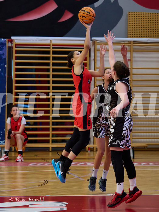 Basketball Superliga 2024/25, SLMU16 Traiskirchen Lionesses vs. VKL Vikings Kammer


