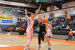 Basketball Damen Superliga 2023/24, Grunddurchgang 13.Runde BK Duchess Klosterneuburg vs. Basket Flames
