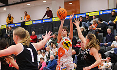 Basketball Damen Superliga 2023/24, Grunddurchgang 13.Runde BK Duchess Klosterneuburg vs. Basket Flames


