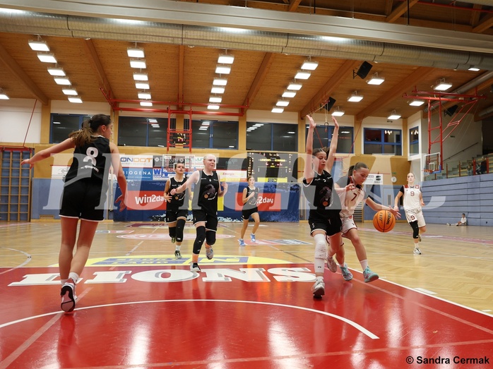 Basketball Superliga 2024/25, SLWU14 Traiskirchen Lionesses vs. ATUS Gratkorn Scorpions


