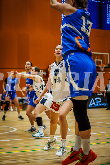 Basketball, Win2Day Basketball Damen Superliga 2023/24, Grunddurchgang 2.Runde, Vienna Timberwolves, DBB LZ OÖ, Melanie Fischer (14)