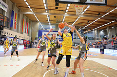 Basketball Austria Cup 2023/24, Finale SKN St. Pölten vs. Klosterneuburg Duchess


