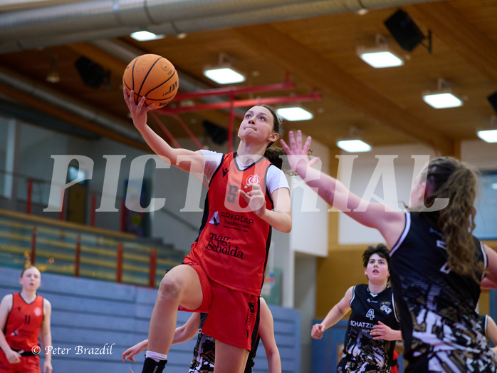 Basketball Superliga 2024/25, SLMU16 Traiskirchen Lionesses vs. VKL Vikings Kammer


