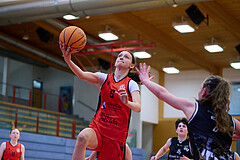 Basketball Superliga 2024/25, SLMU16 Traiskirchen Lionesses vs. VKL Vikings Kammer



