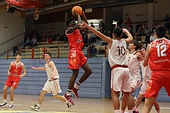 Basketball Superliga 2024/25, SLMU16 Traiskirchen Lions vs. BC Vienna


