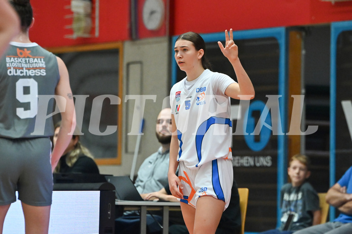 Basketball Superliga 2024/25, Grunddurchgang 4.Runde, DBB Wels vs Klosterneuburg,