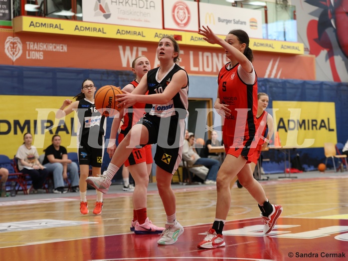 Basketball Superliga 2024/25, SLWU16 Traiskirchen Lionesses vs. DBK Steyrer Witch Cadets


