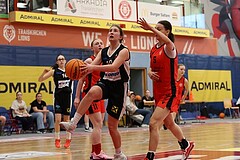 Basketball Superliga 2024/25, SLWU16 Traiskirchen Lionesses vs. DBK Steyrer Witch Cadets


