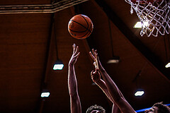 Basketball, Win2Day Superliga 2024/25, Grunddurchgang 13.Runde, BC Vienna, Traiskirchen Lions, Aleksej Kostic (6)