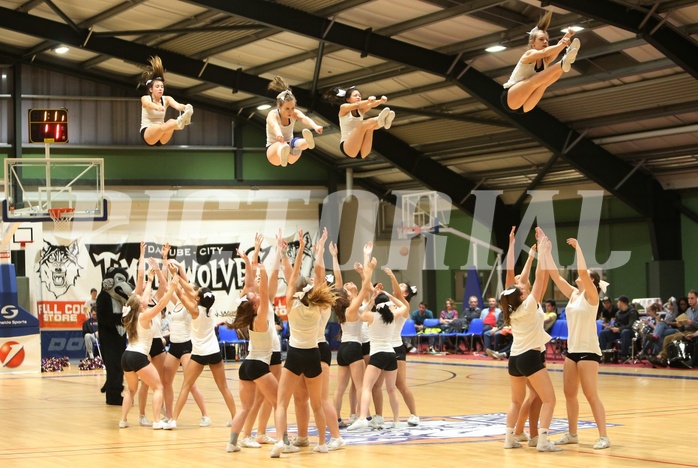 Basketball 2.Bundesliga 2016/17, Grundurchgang 19.Runde D.C. Timberwolves vs. Dornbild Lions