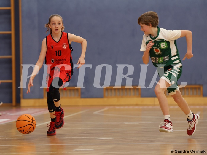 Basketball Superliga 2024/25, SLWU14 Traiskirchen Lionesses vs. UBI Graz


