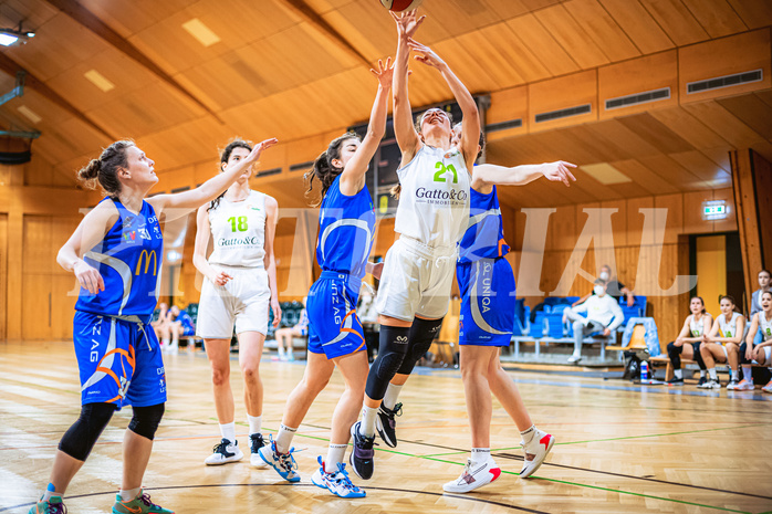 Basketball Basketball Damen Superliga 2021/22, Grunddurchgang 13.Runde Basket Flames vs. DBB LZ Oberösterreich
