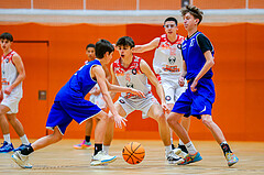 30.11.2024 Österreichischer Basketballverband 2024/25, SLMU16, BC Vienna vs. SG Salzkammergut 
