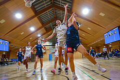 01.12.2024 Österreichischer Basketballverband 2024/25, SLWU19, Vienna United vs. Vienna Timberwolves