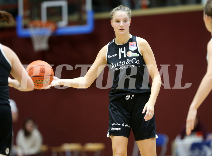 Basketball Basketball