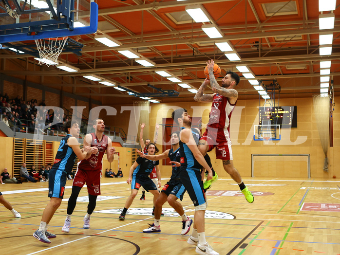 Basketball Zweite Liga 2024/25, Grunddurchgang 15.Runde Mistelbach Mustangs vs. Vienna Timberwolves