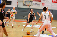 Basketball Damen Superliga 2024/25, Grunddurchgang 10.Runde BK Duchess Klosterneuburg vs. Vienna United


