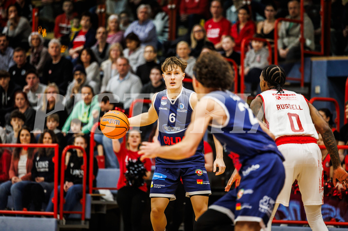 Basketball, win2day Basketball Superliga 2024/25, Grunddurchgang 20.Runde, Traiskirchen Lions, BBC Nord Dragonz, Valentin Pasterk (6)