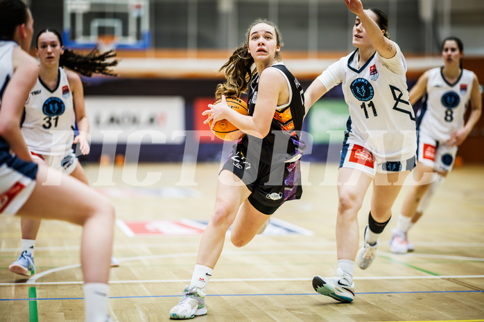Basketball, Win2Day Basketball Damen Superliga 2023/24, Grunddurchgang 12.Runde, Vienna Timberwolves, Vienna United, Christina Hofstetter (24)
