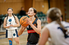 23.02.2025 Österreichischer Basketballverband 2024/25, SLWU16 Vienna Timberwolves vs. Basket Duchess