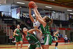 Basketball Superliga 2022/23, Grunddurchgang 6.Runde,
DBB LZ OÖ vs Kos Celovec


