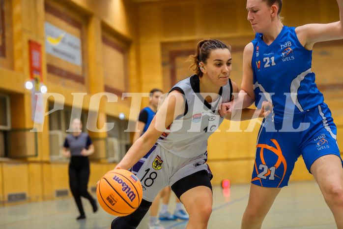 Basketbal lAustria Cup 2024/25, Viertelfinale Vienna United vs. DBB Wels


