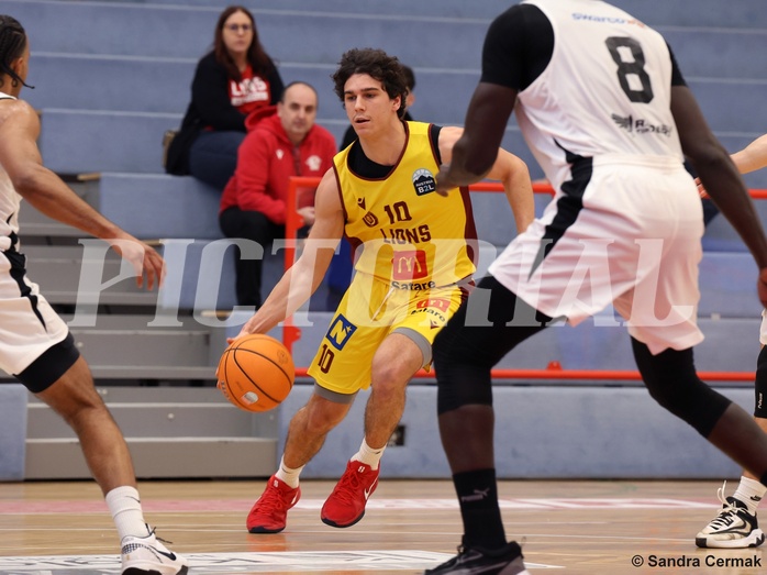 Basketball Zweite Liga 2024/25, Grunddurchgang 17.Runde Traiskirchen Lions NextGen vs. Raiders Tirol