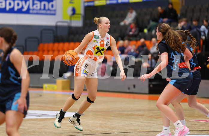 Basketball Damen Supercup 2024/25, 4.Runde BK Duchess Klosterneuburg vs. Vienna Timberwolves


