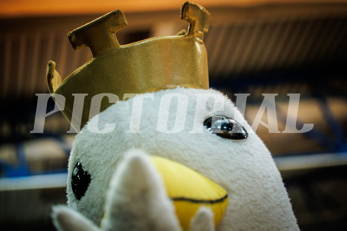 Basketball, Basketball Austria Cup 2022/23, Halbfinale 1, Oberwart Gunners, Gmunden Swans, #mascot