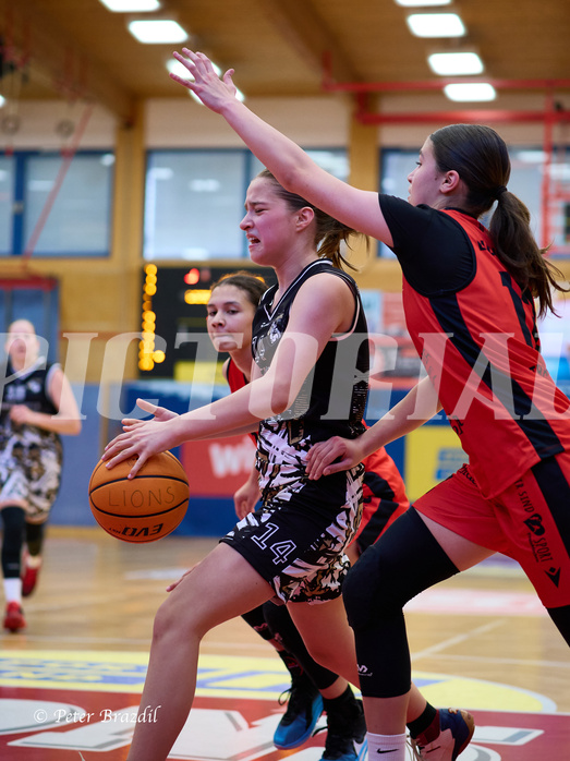 Basketball Superliga 2024/25, SLMU16 Traiskirchen Lionesses vs. VKL Vikings Kammer


