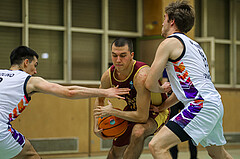 Basketball Zweite Liga 2024/25, Grunddurchgang 5.Runde Vienna United vs. Traiskirchen NextGen


