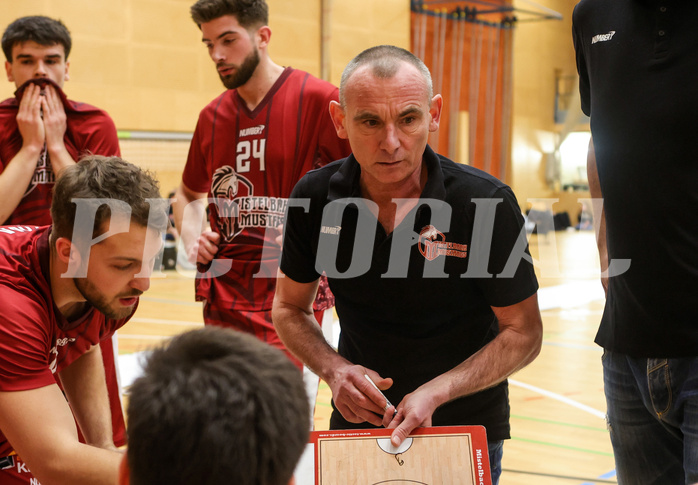 Basketball Zweite Liga 2023/24, Playoff Viertelfinale Spiel 1 Mistelbach Mustangs vs. Dornbirn Lions


