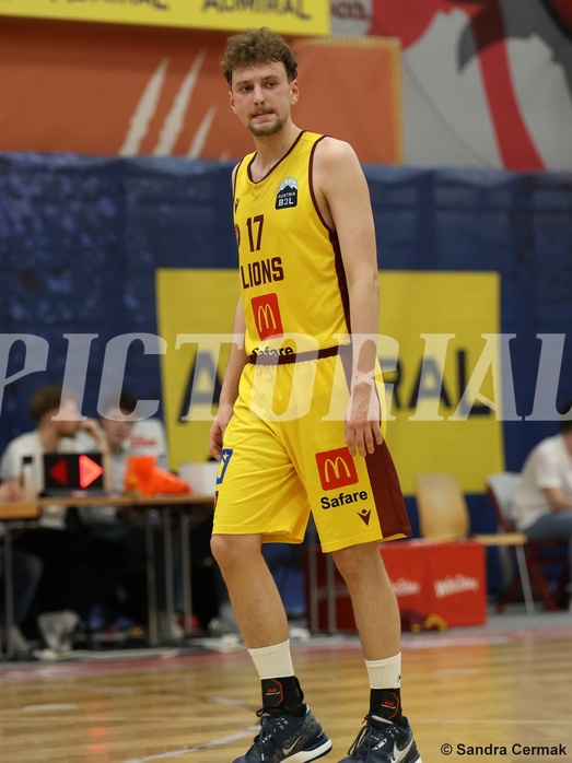 Basketball Zweite Liga 2024/25, Grunddurchgang 22.Runde Traiskirchen Lions NextGen vs. Mistelmach Mustangs
