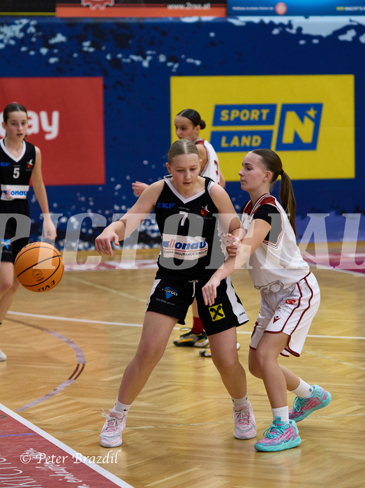 Basketball Superliga 2024/25, SLWU14 Traiskirchen Lionesses vs. DBK Steyrer Witches


