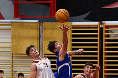 Basketball Superliga 2024/25, SLMU16 Traiskirchen Lionesses vs. FCN Baskets Wels


