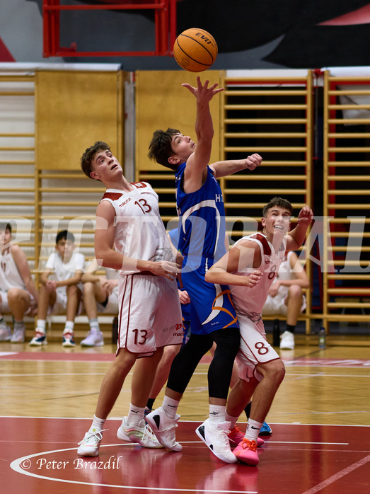 Basketball Superliga 2024/25, SLMU16 Traiskirchen Lionesses vs. FCN Baskets Wels


