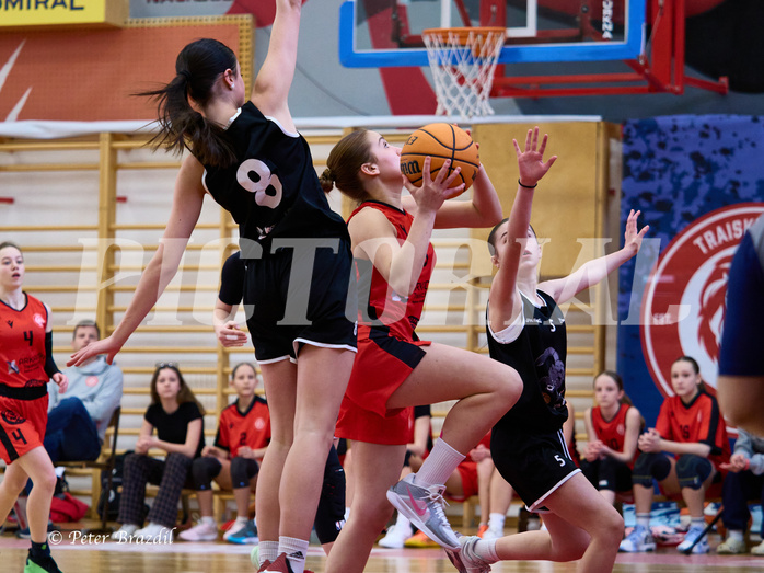 Basketball Superliga 2024/25, SLWU14 Traiskirchen Lionesses vs. Gratkorn Scorpions


