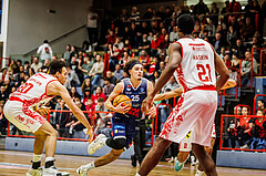Basketball, win2day Basketball Superliga 2024/25, Grunddurchgang 20.Runde, Traiskirchen Lions, BBC Nord Dragonz, Lukas Hahn (25)
