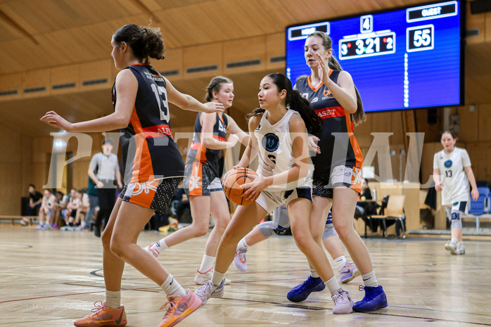 23.02.2025 Österreichischer Basketballverband 2024/25, SLWU16 Vienna Timberwolves vs. Basket Duchess