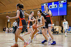 23.02.2025 Österreichischer Basketballverband 2024/25, SLWU16 Vienna Timberwolves vs. Basket Duchess