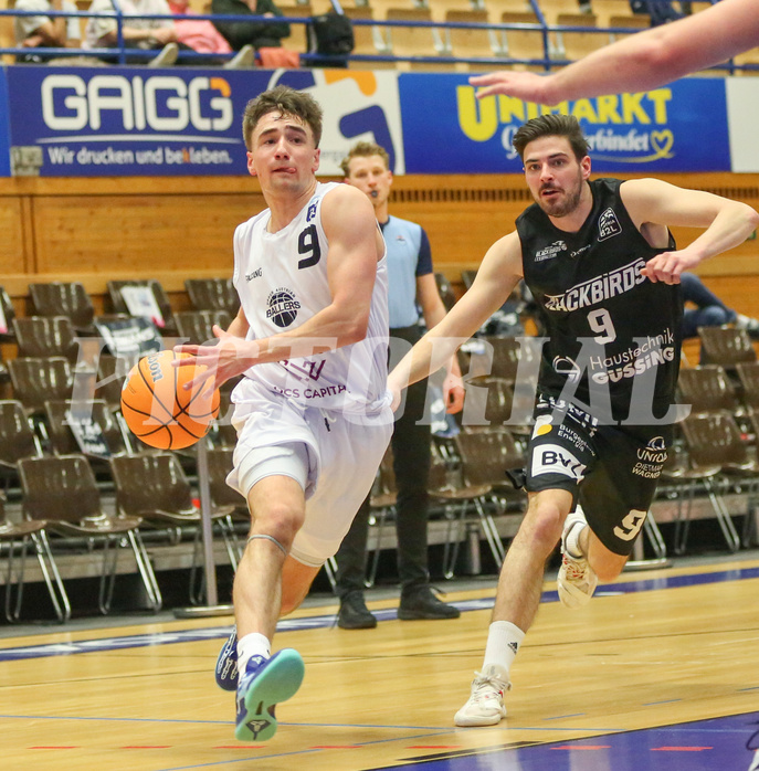 Basketball Zweite Liga 2024/25, Grunddurchgang 22.Runde Upper Austrian Ballers vs. Güssing Blackbirds


