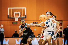 Basketball, Basketball Zweite Liga 2024/25, Grunddurchgang 4.Runde, Vienna Timberwolves, UDW Alligators, Steven Kaltenbrunner (8), Ivor Kuresevic (44)